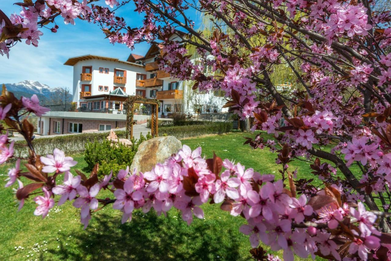 Hotel La Montanina Malosco Esterno foto